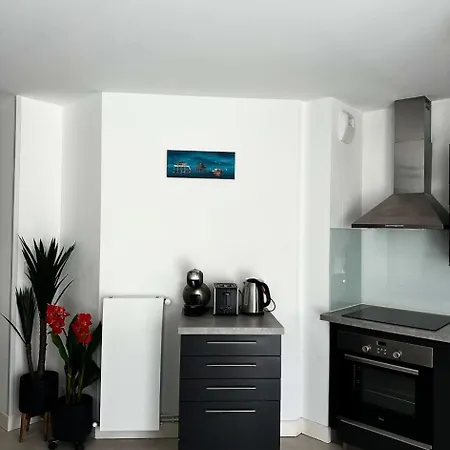Dignan - Superbe T3 Moderne Au Coeur D'arcachon, A Pied Mae-9464 * アルカション